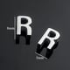R Picture9